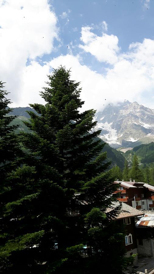Casa Alpina De Filippi Hotel Macugnaga Bagian luar foto